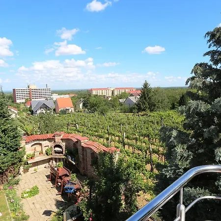 Апартаменты Panorama